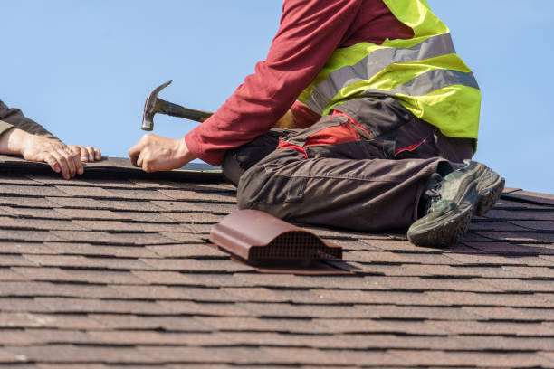 Best Roof Gutter Cleaning  in Rutledge, GA